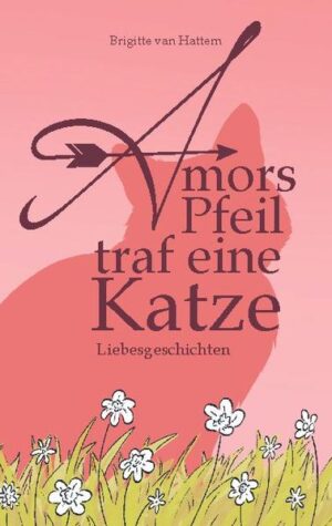 Mal felsenfest, mal flüchtig, mal leichtfüßig, oft tragisch: Die Liebe begegnet uns an den abgelegensten Orten und zeigt sich in den unterschiedlichsten Gewändern. Sie kennt keine Grenzen, keine Hautfarbe, kein Alter und keine Religionszugehörigkeit. Die Liebe ist unausweichlich und Amors Pfeile können uns immer und überall treffen, selbst im heimischen Wohnzimmer, wo gerade eine Heizung ausgefallen ist. Das beweist Brigitte van Hattem in ihren romantischen, mit Augenzwinkern geschriebenen Liebesgeschichten. Da können selbst Männer ohne Manieren und Frauen mit merkwürdigen Kopfbedeckungen attraktiv und liebenswert erscheinen, Tiere und verlorene Kleidungsstücke Verliebte verkuppeln und selbst Amors Fehlschuss macht drei Menschen glücklich, sogar eine Katze, wohlgemerkt. Nur die Frau im roten Kleid, die gerade vorbeilief, ist wieder einmal leer ausgegangen.