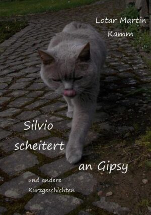 Silvio scheitert an Gipsy Stimmen im Hintergrund, eher flüsternd, nahezu ziellos miteinander tuschelten, während ich langsam zu mir kam aus einer schier endlos langen Nacht voller Unruhe. Ein heftiger Schlag gegen die Wand erschütterte sämtliche Gegenstände wie Tassen, Gläser, selbst das Besteck in der Schublande klapperte, eine Billiardkugel fiel auf den Parkettboden, rollte holpernd, ein wenig knirschend gen Glasvitrine.