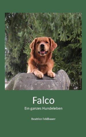 Eines Tages beginnt Falco zu schreiben. Nachdem er lange mit seiner mitteilungsbedürftigen Begleiterin unterwegs war, will er sich endlich selber Gehör verschaffen. Also fängt er an, von seinem Leben zu erzählen. Ein glückliches Leben, das aber von Schicksalsschlägen nicht verschont bleibt. So muss er den Tod seines geliebten Jefes bewältigen, der sich eines Abends von ihm verabschiedet und nie mehr zurückkommt. Von jetzt an ist er mit seiner Begleiterin unterwegs, was sein bisheriges Leben als Büro-Hund komplett auf den Kopf stellt. Er ist jetzt für ihre gute Laune verantwortlich und soll sie mindestens einmal täglich zum Lachen bringen. Mit ihr zusammen erlebt er aufregende Abenteuer, reist durch die ganze Schweiz und ins Ausland. Er beobachtet die Menschen, gehorcht meistens, hat aber oft eine pointierte Meinung zu den Ansichten der Zweibeiner.