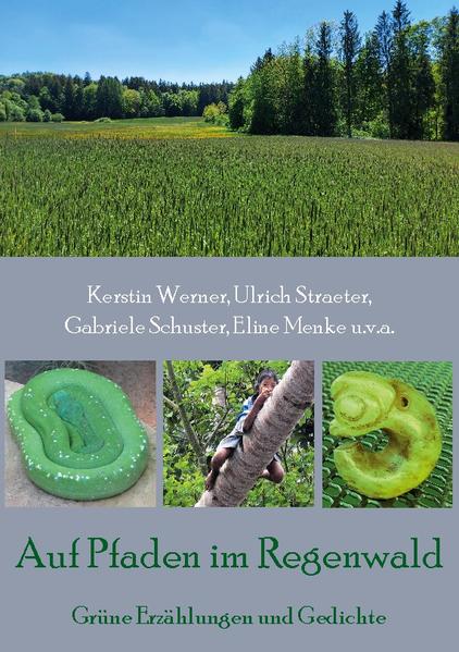 Von einem Ausflug in den indonesischen Dschungel in ein Dorf weitab jeglicher Zivilisation berichtet eine Erzählung. Mit dem Einbaum, reichlich Proviant und Geschenken begibt sich unser Protagonist auf die gefahrvolle Reise in den grünen Schlund. Eine andere Autorin greift eine Liebesgeschichte auf, die sich in Kriegszeiten entwickelt, deren Ausgang betroffen macht. Gesucht wird nach alternativen Schulmodellen, von praktischen Erfahrungen nach der Wende in Ostdeutschland handelt eine Erzählung. Der eigenen Beziehung zu Hüten wird auf den Grund gegangen. Ein mysteriöser Jadedrachen steht zum Verkauf, doch welche geheimen Kräfte wohnen ihm inne? Grüne Gedichte aus Ostfriesland, dem Vessertal oder Haiti lassen sich finden, viele unterschiedliche Themen, die mit der Farbe verbunden sind, die in diesem Band die Hauptrolle spielt. Auch alle Erzählungen weisen diesen Berührungspunkt auf. In einem schwer zu lösenden Kriminalfall geht es um einen grünen Diamanten.