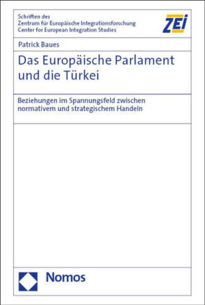 Das Europäische Parlament und die Türkei | Patrick Baues