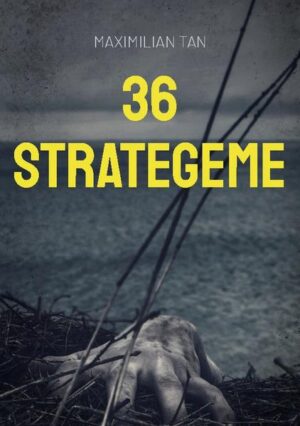 36 Strategeme | Maximilian Tan