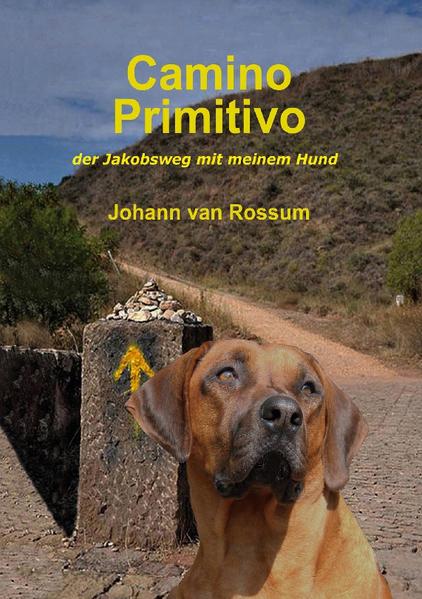 Ein Rhodesien Ridgeback ist nicht die naheliegendste Hunderasse, um als Hilfshund eingesetzt zu werden. Mkumba ist jedoch ein außergewöhnlicher Ridgeback, ein Hund mit einer besonders ausgeprägten Beobachtungsgabe, die ihn Änderungen bei Wut, Spannung oder Betrübnis eher als sein Herrchen wahrnehmen lässt. Wenn die Emotionen eskalieren, sorgt er für Entspannung und Ablenkung. Mit diesem Hilfshund zu Fuß durch die Berge Asturiens und Galiciens nach Santiago de Compostela zu pilgern