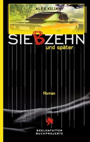 "Ich war ihr so nah, aber sie merkte nichts davon. Ich vergrub meine Nase und meinen Mund, meine Sinne, mein Denken, mein ganzes bisschen Dasein in ihrem Haar. Ich versteckte mich darin, machte mich klein, stahl mich davon. Einen Moment dachte ich, mich von allem lösen zu können, mit nichts mehr verbunden zu sein, keine Fragen mehr zu haben, alles schon längst zu wissen. Einen Moment lang schien dieser Wagen zu schweben." Bobo ist siebzehn und Hobbyfilmer, als er von seinem Freund Kralle überredet wird, für dessen dilettantischen Pornodreh als Kameramann zu fungieren. 1988 verspricht das ein gutes Geschäft. Immerhin würde Kralles Freundin Sanne mitwirken, in die Bobo chancenlos verliebt war. Doch von dem alten Haus mit den vielen Wertsachen hätte er besser nichts erzählen sollen. Denn jetzt wittern sie und der brutale Paul plötzlich das schnelle Geld, und natürlich soll Bobo ihnen dabei helfen. Der hat keine Chance, die sich entwickelnde Eigendynamik zu stoppen, auch wenn er früh ahnt, in welche Gefahr sie sich alle begeben. Am Ende wird es einer von ihnen auch nicht überleben. Über zwanzig Jahre später kommt es zu einem zufälligen Treffen. Es wird zu einer surrealen Begegnung. Ein Roadtrip voller Melancholie und trockenem Witz.