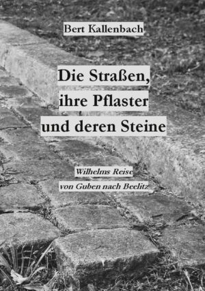 Aus der Perspektive von Pflastersteinen der Mark Brandenburg wird die Fahrt von Fleischermeister Wilhelm im September 1930 von Guben nach Beelitz erzählt. Er will dort seine Frau Marie besuchen, die sich wegen ihrer Tuberkulose-Erkrankung in der Lungenheilstätte befindet. Unterbrochen wird die dokumentarische Erzählung von Einwürfen der Pflastersteine. Sie erzählen von ihrem Zeitverständnis, ihren Gefühlen und ihrer Herkunft. Veranschaulicht wird die Erzählung durch elf Fotografien, darunter drei Fotografien von der Lungenheilstätte Beelitz.