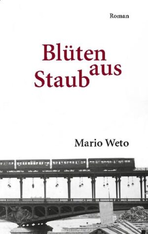 Blüten aus Staub ist ein Liebesroman über den Verlust der ersten Liebe, den Verlust der Heimat und nicht zuletzt ein Liebesroman über den Tod. Der 22-jährige Lukas verliert sich in seiner unbändigen Liebe zu Bianca und trifft in seinem Liebeskummer eine folgenschwere Entscheidung. Er zieht aus dem geordneten, sauberen Zürich nach Montpellier ins ungezwungene Südfrankreich. Seine Einsamkeit und die südfranzösische Kultur erschüttern ihn und ziehen ihm den Boden unter den Füßen weg. Jeglicher Versuch, seine Persönlichkeit zu festigen, scheitert, bis er Jael kennenlernt, deren Verlobter ein Jahr vorher vor ihren Augen erschossen wurde. Durch diese Begegnung bekommt der Tod für Lukas eine neue Bedeutung, eine Philosophie, die er Synologie nennt, und sein Leben einen neuen schöpferischen Weg. Ein Buch über das Verlieren und Wiederfinden.