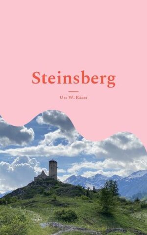 Eine Anwältin aus Chur wird am Fusse der Ruine Steinsberg, nahe Scuol im Unterengadin, tot aufgefunden. Was wollte sie dort? Warum hatte sie ausgerechnet jetzt ihre alte Freundin in Scuol besucht? Kriminalkommissarin Seraina Costa, ebenso tüchtig wie unzimperlich im Umgang mit der Dorfpolizei, nimmt sich des Falles an. Bald zeigt sich, dass sich die Ermordete mit ihrem Engagement für sozial Schwächere überall Feinde gemacht hat. Doch die harten Indizien zeigen in eine andere Richtung und belasten einen wegen Sexualdelikten vorbestraften Mann. Nur, hat er es wirklich getan?