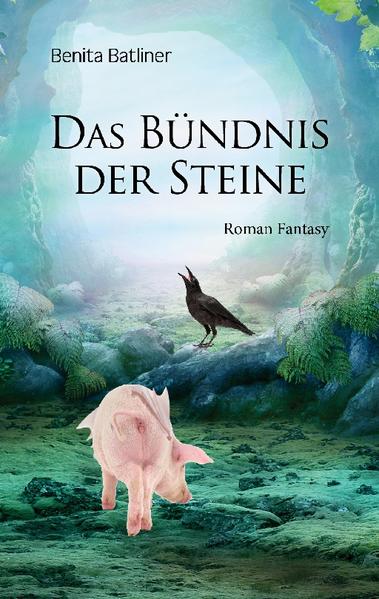 Dreizehn Edelsteine, dreizehn Tugenden für den Frieden. Wieder steht Geronimo vor einer grossen Aufgabe. Asor, der König der Drachen, schickt ihn gemeinsam mit Deborah, Harak und der jungen Seherin der Fliegenden Schweine aus, um die dreizehn Steine des Friedens zu finden und in den Zauberwald zurückzubringen, denn vor langer Zeit wurden sie von den Menschenkönigen gestohlen. Jeder Edelstein birgt eine Tugend in sich, und um die Steine finden zu können, müssen Geronimo und seine Freunde diese Tugenden zuerst in sich selbst zum Leben erwecken. Aber die Zeit drängt, denn der Zauberer Semadar hat den kostbarsten der edlen Steine an sich gerissen und damit das Gleichgewicht der Natur bedrohlich gestört. Und auch er sucht nach den anderen Edelsteinen. Eine abenteuerliche, berührende und auch spirituelle Geschichte über die Kraft der Freundschaft und den Weg der Liebe zu sich selbst und zum wahren Frieden.