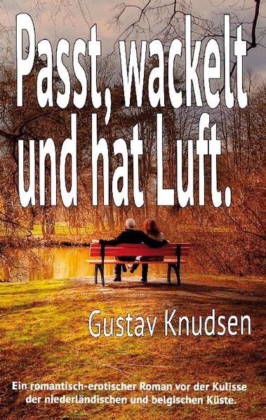 Perfekt ist manchmal nicht genug. Auch wenn es heutzutage keine Seltenheit mehr ist, dass Beziehungen auseinandergehen, so ist es doch umso schöner und bemerkenswerter, dass Gustav und Rosalie sich auch nach ihrer Trennung weiterhin gemeinsam liebevoll um Sohn Louis kümmern, wie auch um Juliette, Rosalies Tochter aus einer früheren Beziehung. Beide verbindet ein freundschaftliches Verhältnis, welches gelegentlich im Schlafzimmer bei schnellem Sex besiegelt wird. Und auch wenn der Alltag einfach und unkompliziert, also nahezu perfekt erscheint, ist perfekt manchmal eben doch nicht genug. In Gustav brennt das Verlangen nach einer ganz normalen Familie und so unterbreitet er Rosalie das Angebot, gemeinsam mit den Kindern Urlaub zu machen, um einem Neuanfang der Beziehung eine Chance zu geben. Gut gelaunt und mit Erich, einem guten Freund, als 'Beziehungscoach' im Schlepptau geht es nach Holland in den Urlaub. Als eine Nachricht vom Jugendamt die Mitteilung bringt, dass Juliette, die keinesfalls mit in diesen Urlaub fahren wollte, von der Polizei verhaftet wurde, beginnen turbulente Stunden für Gustav und Rosalie. Ein romantisch-erotischer Roman vor der Kulisse der niederländischen und belgischen Küste.