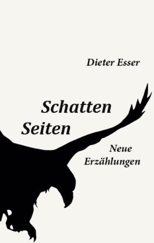 Die Figuren in diesen unterschiedlich langen Erzählungen sind auf den ersten Blick Menschen, die man zu kennen glaubt - aus der Nachbarschaft, dem Freundeskreis, unter Kollegen. Doch Vorsicht: Auf der Schattenseite gerät man in unvertraute Umgebungen, dort lauert unsicheres Terrain und vermintes Gelände.