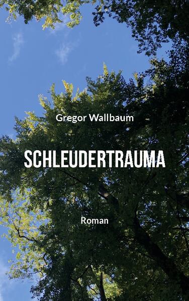 Es ist nur ein Augenblick der Unaufmerksamkeit auf der Rückfahrt von einem weiteren erfolglosen Vorstellungsgespräch und für Bernd ändert sich alles: Ein Schatten fliegt vorbei und ein Mädchen aus dem Dorf verschwindet. Seine Suche nach der Vermissten und nach Vergebung bringt in der Tiefe des Waldes nicht nur die Wahrheit ans Licht, sondern offenbart auch die hinter der Dorfidylle verborgenen menschlichen Abgründe. Eine schmerzhaft ehrliche Gesellschaftskritik, verpackt in einer spannenden Erzählung über Dorffeste und ländliche Traditionen, Rache und Liebe, Verletzung und Hoffnung.