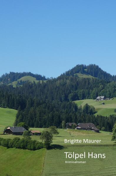 Die Ferien im Emmental waren eigentlich als Abschiedsgeschenk zur Pensionierung von Walter aus dem Büro der Mordkommission gedacht. Dass er dann, auf der Suche nach Spuren seiner Kindheit, in merkwürdige Ungereimtheiten gerät und sich dabei auch noch für einen jungen, behinderten Mann stark macht, war alles andere als geplant. Der dritte Fall aus dem Büro der Chefs der Mordkommission von Mario und Luca.