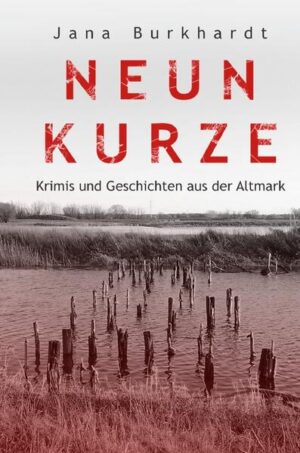 In neun Kurzkrimis und Geschichten passieren die unterschiedlichsten Dinge. Erzählt wird vom Bauunternehmer der zum Mörder wird, von einem versehentlich Ermordeten, von einer Zugfahrt welche für mehrere Mitreisende tödlich endet bis hin zu einem Mitbürger, der die Zeiten von Ebay und Co für sich ausnutzt und dafür seine Strafe erhält. Erzählt werden aber auch Geschichten, wie sie jedem von uns jederzeit passieren können.