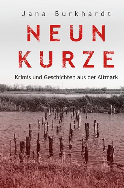 In neun Kurzkrimis und Geschichten passieren die unterschiedlichsten Dinge. Erzählt wird vom Bauunternehmer der zum Mörder wird, von einem versehentlich Ermordeten, von einer Zugfahrt welche für mehrere Mitreisende tödlich endet bis hin zu einem Mitbürger, der die Zeiten von Ebay und Co für sich ausnutzt und dafür seine Strafe erhält. Erzählt werden aber auch Geschichten, wie sie jedem von uns jederzeit passieren können.