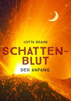 Die vierzehnjährige Fia besitzt Schattenblut und flieht mit vier guten Freunden und ihren Drachen von Valour, ihrer Heimatinsel. Auf deren Reise durch das Inselreich werden ihre Drachen von der blutrünstigen Drachenjägerin Sina Meurtre entführt, die Anhängerin des Schattenlords ist, welcher es ebenfalls auf Fia abgesehen hat. Für alle ist nun klar: die Schlacht um Leben und Tod und um ihre Drachen hat begonnen.