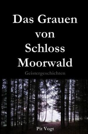 Schattenmenschen, Hexen, seltsame Mordfälle, unheimliche Flüche, das Geheimnis um eine schwarze Lady, letztlich das Grauen auf einem Schloss treiben hier Geister ihr Unwesen? Gibt es überhaupt Geister? Fest steht, dass in unserer Welt, in unserer Gesellschaft immer mehr Menschen die Scheu verlieren, über diese Dinge zu sprechen. Manchmal kursieren sogar Vermutungen, dass diverse politische Vorgänge mit solcherlei Vorfällen zusammenhängen könnten. Erscheinen Geister immer dann, wenn die Zeiten schlechter werden? Es sind unzählige Fragen, die sich hier auftun. Doch bleibt das Unheimliche, das Unerklärliche durch alle Zeiten, auch durch unsere modern erscheinenden Zeiten, bestehen. Viele Dinge können auch heute noch immer nicht erklärt oder gar wissenschaftlich bewiesen werden. Was sind Paralleluniversen, was sind Multiversen, was verbirgt sich hinter der Quantenverschränkung? Münden Forschungen der Wissenschaft irgendwo in diese geisterhaften und unerklärlichen Beobachtungen? Können Geister gar wissenschaftlich erklärt werden? Klar ist, dass man sich den Freiraum zugestehen sollte, in welchem das Unheimliche einen festen Bestand hat. Denn viele Dinge muss man nicht erklären: sie sind eben da und scheinen über unseren Erklärungsdrang zu schmunzeln. Sie zeigen uns, wo unsere eigenen Grenzen sind und das wir uns das bewahren müssen, was wir manchmal vergessen: Menschsein!