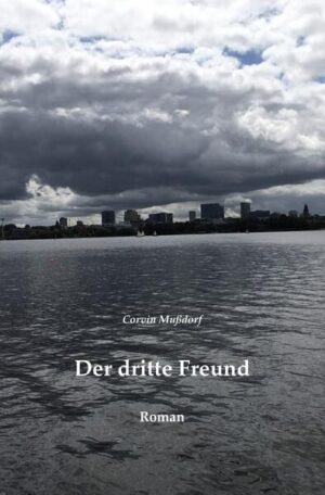 Ein Hamburger Radfahrer, aus dem Ausland zurückgekehrt, besucht auf dem Ohlsdorfer Friedhof das Grab seines Freundes. Die Bushaltestelle an der Mittelallee wird die Ursache weiterer Ereignisse. Zeitstrudelartige Radtouren führen durch Geschichte und Alltag der Stadt Hamburg und geleiten durch die Welt der Stadtteile. Zeitgenossen und verstorbene Menschen im Dialog. Alltägliche und seltsame Geschichten am Wegesrand. Reise in Vergangenheit und Zukunft. Gesamtes Stadtteilverzeichnis und Wegweiser für Radler am Argentinienknoten werden mitgeliefert.