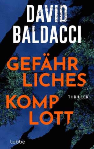 Gefährliches Komplott Thriller. Ein gefährliches Katz-und-Maus-Spiel zwischen einer ehemaligen Polizistin und einer Betrügerin | David Baldacci