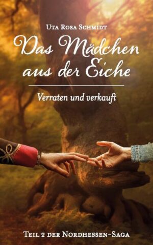 Henry (Henriette) ist nach ihrer Zeitreise ins 18. Jahrhundert wieder in der Gegenwart angekommen. Im Jahr 2010 studiert sie Geschichte in Marburg. Bei einer Recherchearbeit für ihren Professor macht sie eine überraschende Entdeckung: Nic, den sie auf ihrer Zeitreise fast geheiratet hätte, ist als Soldat mit der hessischen Armee nach Amerika gegangen. Er kämpft dort auf Seiten der Engländer gegen die amerikanischen Rebellen. Ein lebensgefährlicher Einsatz. Bei weiteren Nachforschungen stößt Henry auf lebende Nachfahren von Nic. Sie stellt fest, dass das Schicksal der ganzen Familie von ihr, Henry, abhängt. Ihr bleibt keine Wahl. Sie muss ins 18. Jahrhundert zurückreisen und ihre große Liebe Nic aufspüren.