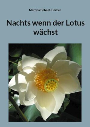 Zwei Kinder stellen wichtige Fragen und bekommen gewichtige Antworten. Daraus entstehen weitere Gedanken in der Bandbreite von Natur bis Wissenschaft. Damit entsteht ein Roman, der Weltanschauliches und Philosophisches genauso einbezieht wie Fabeln und Geschichten.