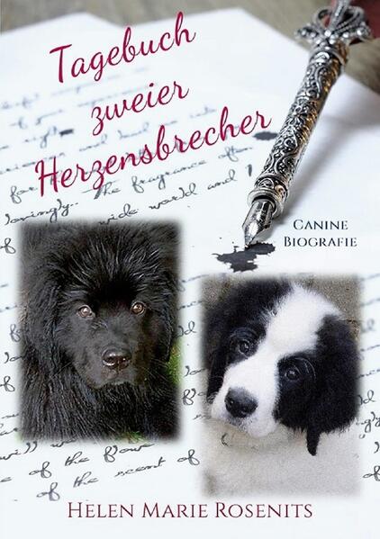 Eine canine Biografie Momo und Elfe erzählen aus ihrem Alltag, von ihren Erlebnissen und ihren Gedanken. Die Autorin ist bloß ihre Ghostwriterin und steuert viele Fotos bei.