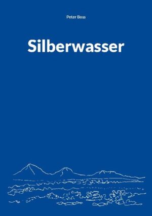 Die Reise mit dem Segelschiff wird für die beiden Brüder Geronimo und Nikolai zum Abenteuer ihres Lebens. Statt bekannten Küstenlinien entlang zu segeln und in der Abendsonne genüsslich einen Drink zu schlürfen finden sie sich plötzlich in dem ihnen unbekannten Land Silberwasser wieder. Die faszinierende neue Welt mit einer unglaublichen Tierwelt wird überschattet von einem dunklen Geheimnis, welches das harmonische Leben der drolligen Einwohner zu zerstören droht. Gemeinsam machen sie sich auf, der drohenden Gefahr ein Ende zu setzen. Dabei setzen sie ihr Leben gleich mehrmals aufs Spiel und wissen nie, ob ihre Kräfte und ihr Verstand reichen, um ihr Ziel zu erreichen.