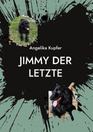 Jimmy, der Hund mit dem großen Herzen, erzählt aus seinem bewegten Leben im steirischen Mürztal. In diesen Geschichten von Abenteuern, Lebenslust und Freude, aber auch von Sorgen, Heimatverlust, Wehmut und vor allem von der Liebe zu den Menschen begleiten wir Jimmy durch frohe und schwierige Zeiten. Wir lachen und weinen mit ihm, wobei Jimmys Botschaften uns auch immer wieder zum Nachdenken anregen. Eine Geschichte für Hundeliebhaber und alle Menschen, die wissen, wie viel Liebe uns Hunde geben können.