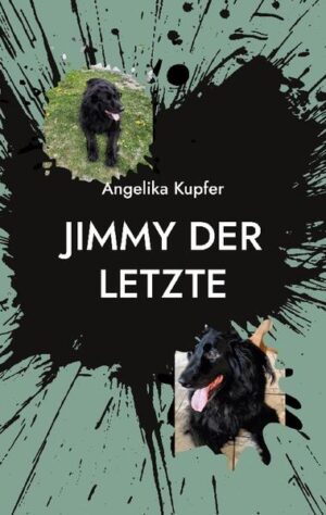 Jimmy, der Hund mit dem großen Herzen, erzählt aus seinem bewegten Leben im steirischen Mürztal. In diesen Geschichten von Abenteuern, Lebenslust und Freude, aber auch von Sorgen, Heimatverlust, Wehmut und vor allem von der Liebe zu den Menschen begleiten wir Jimmy durch frohe und schwierige Zeiten. Wir lachen und weinen mit ihm, wobei Jimmys Botschaften uns immer wieder zum Nachdenken anregen. Eine Geschichte für Hundeliebhaber und alle Menschen, die wissen, wie viel Liebe uns Hunde geben können.