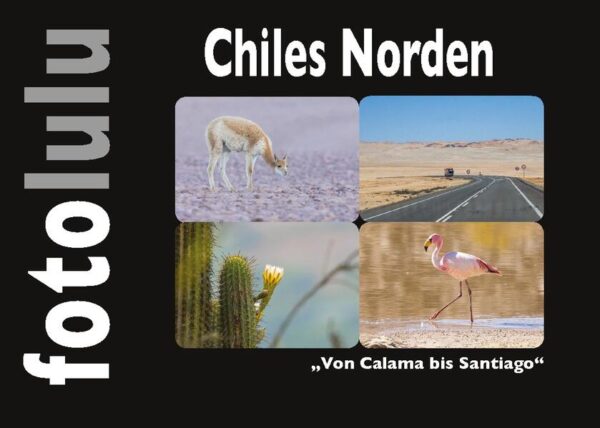 Chiles Norden "Von Calama bis Santiago" "Lass Bilder sprechen." Getreu diesem Motto habe ich die Fotos weder beschrieben noch mit Ortsangaben versehen. Es geht nicht darum was der Fotograf gesehen hat, sondern um die Wirkung auf den Betrachter. Ich möchte Sie in ferne Welten verführen, ohne ihre Phantasie und Interpretation zu beeinflussen. Ich möchte, dass Sie die Welt mit ihren Augen sehen. Genießen Sie die eingefangenen Momente und starten Sie ihre Reise durch den Norden Chiles.