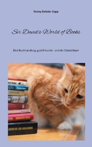 Nicole hat sich mit einem eigenen Buchladen im idyllischen Port Sunlight einen Traum erfüllt. Mit ihrem Kater Sir David, Chinchilla Squeaky, Jugendfreundin Alex in ihrer Tee & Schoko Ecke und der resoluten 70-jährigen Mildred ist die Buchhandlung quasi zum Mittelpunkt des dörflichen Lebens in Port Sunlight geworden. Nicole ist zufrieden mit sich und der Welt, bis ein Obdachloser mit seinem Hasen auftaucht und ihr Leben komplett durcheinander bringt... Eine Geschichte voller Freundschaft, Gesellschaftskritik, Tränen, herrlicher Weihnachtsatmosphäre und britischem Humor.