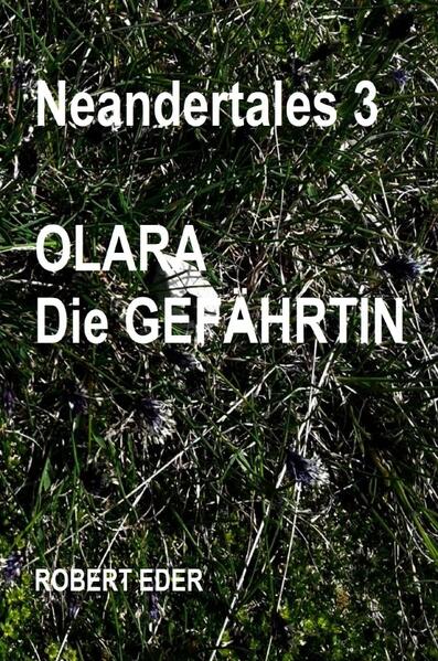 Einige hunderttausend Jahre blieben die Neandertaler in ihrem Gebiet mit einer stabilen Bevölkerung. In Afrika entwickelte sich der moderne Mensch dessen Bevölkerung stetig wuchs. Dies und sich ändernde Umweltbedingungen zwangen ihn auch in das Gebiet der Neandertaler vorzustoßen. Wie es Diesen erging, soll in dem Roman behandelt werden.