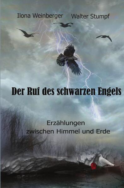 Unsere jeweilige Affinität zur dunklen Literatur hat uns den Entschluss fassen lassen, eine gemeinsame Anthologie zu diesen Themen zu erstellen. Diese finden Ausdruck in dramatischen Handlungen, rätselhaften Phänomenen und Endzeitszenarien. Traurige und schmerzliche Lebensereignisse haben ihren Weg dort hinein gefunden und somit eine ungewöhnliche Sammlung entstehen lassen, die in viele Bereiche der menschlichen Seele schauen lässt. Manche der Geschichten basieren auf einem realen Hintergrund. Lasst Euch in die Dunkelheit des Seins entführen...