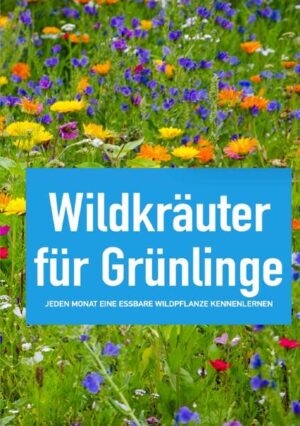 Beim Spaziergang durch die nahe gelegene Landschaft kann man viele essbare Wildpflanzen entdecken! Wildkräuter, Blüten, wild wachsendes Obst und Beeren verführen zu köstlichen Gerichten und sind darüber hinaus überaus nahrhaft. In diesem Buch unternehme ich mit Ihnen einen Spaziergang durch das ganze Jahr. Jeden Monat wird eine Wildpflanze vorgestellt, die garantiert jeder Laie erkennt. Das Buch "Wildkräuter für Grünlinge" ist mit schönen Farbbildern bestückt, welche das Bestimmen der Pflanzen erleichtern sollen. Dazu gibt es viele Rezepte und Vorschläge zur Verarbeitung sowie Tipps aus meinem Erfahrungsschatz. Ergänzend findet man für jeden Monat eine Kalenderübersicht, die Sie dazu nutzen können, Wildpflanzen-Funde in Ihrer Region sowie den Erntezeitpunkt zu dokumentieren. Nach jedem Monat bietet das Buch auch noch Platz für Notizen, um es durch eigene Gedanken und Rezepte zu bereichern. Das handliche Buch in A5-Format lässt sich bei jedem Spaziergang ganz leicht mitnehmen. (Neuauflage)