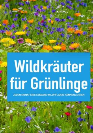 Beim Spaziergang durch die nahe gelegene Landschaft kann man viele essbare Wildpflanzen entdecken! Wildkräuter, Blüten, wild wachsendes Obst und Beeren verführen zu köstlichen Gerichten und sind darüber hinaus überaus nahrhaft. In diesem Buch unternehme ich mit Ihnen einen Spaziergang durch das ganze Jahr. Jeden Monat wird eine Wildpflanze vorgestellt, die garantiert jeder Laie erkennt. Das Buch "Wildkräuter für Grünlinge" ist mit schönen Farbbildern bestückt, welche das Bestimmen der Pflanzen erleichtern sollen. Dazu gibt es viele Rezepte und Vorschläge zur Verarbeitung sowie Tipps aus meinem Erfahrungsschatz. Ergänzend findet man für jeden Monat eine Kalenderübersicht, die Sie dazu nutzen können, Wildpflanzen-Funde in Ihrer Region sowie den Erntezeitpunkt zu dokumentieren. Nach jedem Monat bietet das Buch auch noch Platz für Notizen, um es durch eigene Gedanken und Rezepte zu bereichern. Das handliche Buch in A5-Format lässt sich bei jedem Spaziergang ganz leicht mitnehmen. (Neuauflage)