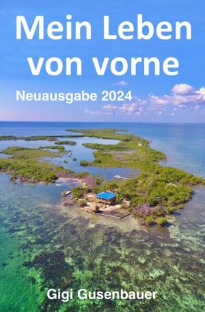 Der Leser und Leserinnend mit einem Flug nach Belize, wo ein geschiedener Manager seinen einzig verbliebenen Besitz begutachten möchte: einen Felsen im karibischen Meer. Sonst hat er nichts mehr. Das Leben vor dem Bürobildschirm ist beendet und ein völlig unbekanntes Land wartet auf ihn. Das Buch endet auch wieder mit dieser Reise, dazwischen wechselt man zwischen Vergangenheit und Gegenwart und erst am Ende versteht man, was zu dieser waghalsigen Entscheidung führte. Wie er als Vater seine über alles geliebten Kinder im Stich lassen konnte. Wie die Wahrheit aller betroffenen Personen einer Scheidung einerseits widersprüchlich, andererseits für sich korrekt sind. Kapitel für Kapitel wechselt man zwischen dem alten Leben, das ursprünglich von Hoffnung, Liebe, Glück und Familie geprägt war, dann aber in Depression, Suizidalität, Medikamentenabhängigkeit, Burn Out und dem Kampf um die Kinder abstürzte. Und dem neuen Leben, dem Leben von vorne, wo der Bürohengst mit zwei linken Händen versucht, auf einer einsamen Insel im Nichts zu überleben und sich etwas Neues aufzubauen. Von einem Leben in Excel-Tabellen und Datenbanken in den Dschungel von Belize, zu einer einsamen Insel, brennenden Schiffen, und dem Umgang mit Bestechung und Korruption. Auf der Suche nach neuem Glück, Gesundheit und innerem Frieden. Gibt es eine Chance, dies zu erreichen?