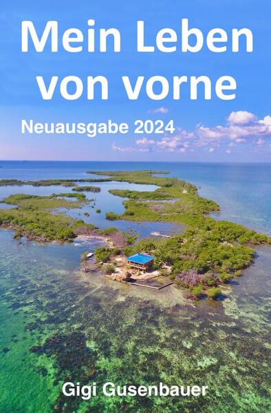 Der Leser und Leserinnend mit einem Flug nach Belize, wo ein geschiedener Manager seinen einzig verbliebenen Besitz begutachten möchte: einen Felsen im karibischen Meer. Sonst hat er nichts mehr. Das Leben vor dem Bürobildschirm ist beendet und ein völlig unbekanntes Land wartet auf ihn. Das Buch endet auch wieder mit dieser Reise, dazwischen wechselt man zwischen Vergangenheit und Gegenwart und erst am Ende versteht man, was zu dieser waghalsigen Entscheidung führte. Wie er als Vater seine über alles geliebten Kinder im Stich lassen konnte. Wie die Wahrheit aller betroffenen Personen einer Scheidung einerseits widersprüchlich, andererseits für sich korrekt sind. Kapitel für Kapitel wechselt man zwischen dem alten Leben, das ursprünglich von Hoffnung, Liebe, Glück und Familie geprägt war, dann aber in Depression, Suizidalität, Medikamentenabhängigkeit, Burn Out und dem Kampf um die Kinder abstürzte. Und dem neuen Leben, dem Leben von vorne, wo der Bürohengst mit zwei linken Händen versucht, auf einer einsamen Insel im Nichts zu überleben und sich etwas Neues aufzubauen. Von einem Leben in Excel-Tabellen und Datenbanken in den Dschungel von Belize, zu einer einsamen Insel, brennenden Schiffen, und dem Umgang mit Bestechung und Korruption. Auf der Suche nach neuem Glück, Gesundheit und innerem Frieden. Gibt es eine Chance, dies zu erreichen?