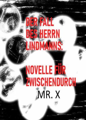 Der Fall des Herrn Lindmanns: Novelle für Zwischendurch | Mr. X