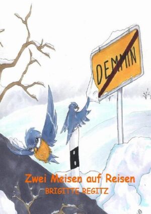 Es ist Winter und schneit in Demmin, einer Kleinstadt im Norden. Die beiden Meisen Emmi und Otti sitzen frierend auf einem Ast. Da hat Otti die Idee, in den Süden zu fliegen. Als die beiden Meisen an einen Flughafen kommen, beschließen sie kurzerhand, ein Flugzeug zu nehmen und so gelangen sie ganz schnell und ohne Anstrengung in den Süden, aber mehr soll hier nicht verraten werden.