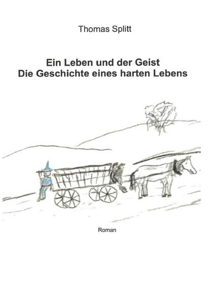 Fast am Ende seines Lebens blickt der einst wohlhabende und dann verarmte Tischlermeister Hans auf sein Leben mit Hilfe eines Geistes zurück. Dieser Geist zeigt ihm, wie oft er in sein Leben eingegriffen oder den Dingen seinen Lauf gelassen hat. Dabei wird Hans bewusst, welche Fehler er in Bezug auf die Verluste in seinem Leben machte. Der Geist hat ihn ausgesucht, um ihm sein Leben noch einmal zu Zeigen. Hans ist mitten im vergangenem Geschehen, kann jedoch von den Personen nicht wahr genommen werden und kann nicht in die Geschehnisse eingreifen. Von seiner Geburt bis zur Gegenwart wird Hans sein Leben vorgeführt. Geboren zwischen den Weltkriegen muss Hans schon frühzeitig das Leben in all seiner Härte, jedoch auch Liebe, erfahren. Geprägt durch die Großfamilie, den Kriegseinsatz an der Ostfront und der langen russischen Gefangenschaft beginnt er, seine Mutter und die vielen Geschwister nach der Flucht aus der alten Heimat, in der Fremde, ein neues Leben. Er und sein Bruder bauen sich über viele Jahre einen Großbetrieb auf. Dafür braucht es so manche Raffinesse und Verschlagenheit. Er erkennt durch die Hilfe des Geistes, dass Liebe und familiärer Zusammenhalt nichts mit Reichtum und Einfluss zu tun haben. Mit Hilfe des Geistes versucht er, sein Leben zum Besseren zu wenden.