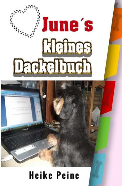 June ist eine Zwergrauhhaardackel-Dame die dieses Buch homorvoll schreibt. Wie es zum Beispiel ist im Wald mit ihren Menschen spazieren zu gehen. Auch als sie Leine und Halsband kennen lernen musste. Sie schreibt wie es war zur Welpensielstunde zu gehen und dort andere Welpen kennen zu lernen. Auch als sie das erste Mal Welpen bekam. Jund schreibt über Parasiten, die Hundenase und mehr.