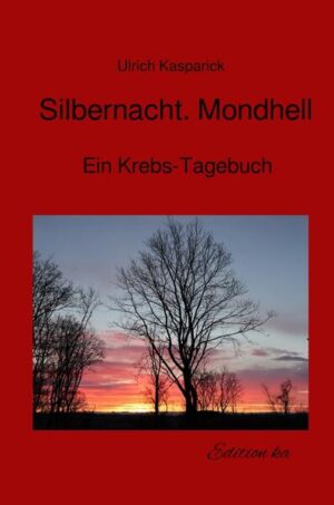 Das Buch erzählt in Tagebuch-Form von einer Nieren-Krebs-Erkrankung und der anschließenden Rehabilitation. Besonders wichtig ist dabei die Begegnung mit der Gesellschaft für Biologische Krebsabwehr in Heidelberg. Die erzählte Handlung ist autobiografisch gefärbt. Namen werden abgekürzt. Die Geschichte hat lange gelegen. Nun, nach mehr als 20 Jahren, soll sie veröffentlicht werden, auch, um anderen Menschen Mut zu machen.