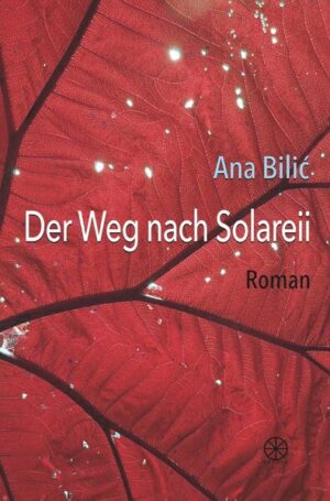 Der Roman erzählt vom jungen Prokuristen Arder aus Wien und seinen Abenteuern mit der kleinen Schwester Lisa, seinem Chef Herr Budokai und dem Barbesitzer namens Matilo. Alle machen sich zufällig und unfreiwillig auf den Weg ins Land namens Solareii. Unterwegs lernen alle ihre Vergangenheit kennen, die sie zu vergessen versuchen: Sie werden mit ihren Mordtaten, ihrer falschen Moral, ihrer Ignoranz gegenüber Mitmenschen und ihren tiefsitzenden Ängsten konfrontiert. Sie treffen sich zum Schluss am Ufer des Sees mit grauer Spiegeloberfläche. Dort wird entschieden, wer und wie ein neues Leben anfangen kann. Der Roman wird in der atemberaubenden Tradition der phantastischen Literatur von Boris Vian, Jorge Luis Borges und Daniil Harms mitreißend erzählt.