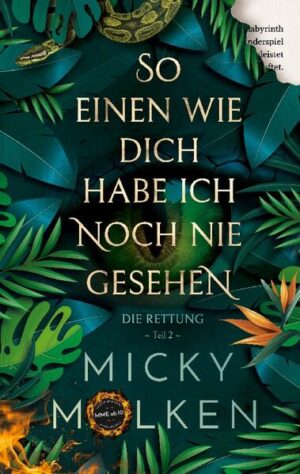 Die Geschichte geht weiter ... Ein Bündnis aus vier Freunden haben eine Mission, Clumsy aus den Fängen der Gesetzesbrecher zu retten. Wozu sie dazu Dosenöffner, Klebeband, Angel, Fingerhut und Zahnstocher benötigen, erfahrt ihr in dieser Geschichte. Ein weiteres Abenteuer voller Gefahren, Ängsten und Überwindungen. Ob sie es schaffen? Lasst euch einladen auf ein Abenteuer mit einer dicken Prise Humor hier, einer Prise Liebenswürdigkeit da und einer ganzen Böe Faszination!