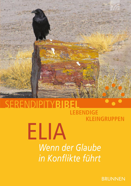 Wenn der Glaube in Konflikte führt Dieses neue Heft aus der Reihe SERENDIPITY setzt sich eingehend mit dem biblischen Elia auseinander. Anhand ausgewählter Passagen aus den Büchern der Könige werden die Fragen beantwortet, was Menschen von heute von diesem großen Propheten lernen können und wie seine Geschichte Orientierung und Vergewisserung im Glauben geben kann-in bewährter Weise für das Gespräch in der Gruppe erschlossen: mit Einführung, Impulsen zum Weiterdenken und vertiefenden Erläuterungen. Themen:-1 Gott und die Politik (1 Könige 16,29-34)-2 Grundkurs Gehorsam (1 Könige 17,1-7)-3 Vorbildlicher Glaube (1 Könige 17,8-16)-4 Bestätigter Glaube (1 Könige 17,17-24)-5 Glaube in der Zerreißprobe (1 Könige 18,1-18)-6 Der Kampf des Glaubens (1 Könige 18,19-40)-7 Verzweifelter Glaube (1 Könige 19,1-21)-8 Missbrauchter Glaube (1 Könige 21,1-16)-9 Bote des Glaubens (2 Könige 1,1-18)-10 Staffellauf des Glaubens (2 Könige 2,1-25)