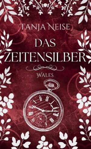 "An diesem gottverlassenen Ort würde ich nicht fündig werden. Hier starben die Hoffnungen eher, als dass sie sich erfüllten." Als Matt auf der verzweifelten Suche nach einer Möglichkeit, ein Unglück abzuwenden, auf Magisches Silber trifft, katapultiert es ihn ins 16. Jahrhundert. Dort lernt er die bezaubernde Adley kennen, die ihn überraschenderweise zwingt, sie zu heiraten.  Doch in Matts sorgfältig durchgeplantem Vorhaben ist kein Platz für eine neue Liebe - schon gar nicht in dieser mittelalterlichen Zeit, die voller Gefahren, Schrecken und Tod steckt.  Manchmal hat das Herz jedoch eigene Pläne und das Schicksal bestimmt über die Zukunft.  Ein neues Zeitreise-Abenteuer von der Bestseller-Autorin Tanja Neise. Eine weitere Geschichte voller Gefahren und mit der ganz großen Liebe, die alles überwinden kann - auch die Zeit.