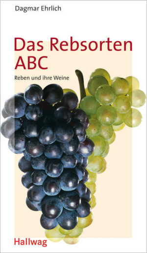 In diesem kompakten Wein-Kompass stecken Informationen zu 111 Rebsorten und ihren Weinen. Die Einteilung in fünf verschiedene Kategorien ( internationale Rebsorten, Newcomer, regionale Rebsorten, Ökorebsorten und Cuvées) ermöglicht auch dem Weineinsteiger einen schnellen Überblick über die Bedeutung der einzelnen Rebsorten für den internationalen Weinbau. Steckbriefe zu jeder der 111 Rebsorten geben neben vielen anderen Informationen Auskunft über Herkunft, Geschmack und Charakter. So findet jeder Leser leicht diejenigen Sorten, die ihm am besten schmecken. Jeder Eintrag wird durch kurze Texte ergänzt, die Besonderheiten und Wissenswertes erläutern.