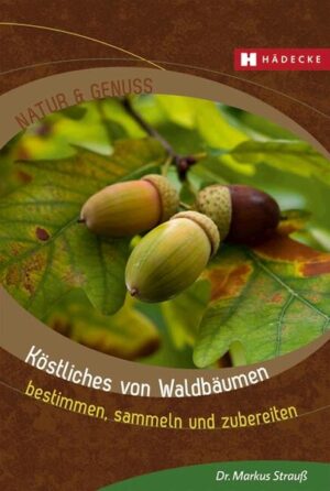 10 Baumporträts mit vielen Rezepten. Gesunder Genuss zum Nulltarif: Waldbäume und ihre Früchte bzw. essbaren und verwendbaren Pflanzenteile sind wertvolle Nahrungsmittel. Am bekanntesten sind neben den Esskastanien die Eicheln und Bucheckern, deren Mehl und Öl sich hervorragend für die Küche eignen. Aber auch Pinienkerne, der „Tannenhonig“ und die jungen Triebe der Nadelbäume sowie die Früchte von Linde und Robinie bieten schmackhafte Abwechslung. Voraussetzung für den Genuss sind das sichere Erkennen und das Wissen, wann und wo welche Teile gesammelt und verwertet werden können. Das Buch bietet eine ausführliche Warenkunde mit Pflanzenporträts, Erntekalender sowie viele Rezepte und Tipps zum richtigen Sammeln, Verarbeiten und Zubereiten.