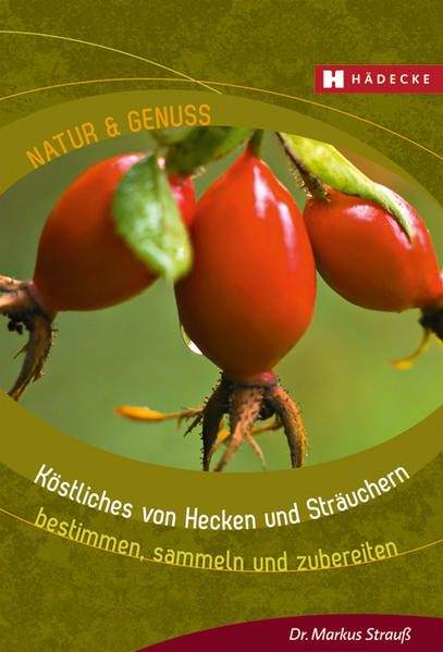 Heckenrose und Kornelkirsche Im 3. Band der Reihe Natur & Genuss - bestimmen, sammeln und zubereiten widmet sich der Autor Dr. Markus Strauß den Blättern, Blüten und Früchten von Hecken und Sträuchern. Diese sind wertvolle Nahrungsmittel und dazu noch zum Nulltarif zu haben. Am bekanntesten sind Holunder und Haselnuss, aber auch die besonderen Geschmacksnuancen von Schlehe und Sanddorn sind eine Entdeckung wert. Auch längst vergessene Früchte wie Berberitze, Mispel und Kornelkirsche nehmen nehmen hier wieder ihren Platz in unseren Küchen ein. Voraussetzung für die Verwendung und den Genuss sind das sichere Erkennen und das Wissen, wann und wo welche Teile gesammelt und wie sie verwertet werden können. Alle Titel der Reihe haben ein handliches Format, das sich gut zum Mitnehmen eignet, und bieten praxisnahes Know-How - auch für Outdoor-Einsteiger! Zu den Pflanzenporträts gibt es Fotos in der Natur, so dass ein sicheres Erkennen möglich ist. Sammeltipps und Erntekalender sowie viele Rezepte und Anregungen für die Verwendung in Küche und Hausapotheke ermöglichen eine genussvolle (Wieder-)Entdeckung der Natur!