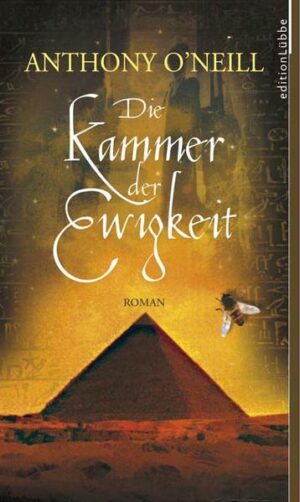 Seit Napoleon durch den Tausendsassa Vivant Denon von der Legende der "Kammer der Ewigkeit" gehört hat, sind seine Gedanken wie besessen von ihr. Es heißt, das altägyptische Gemach berge die Geheimnisse des ewigen Lebens und der Unsterblichkeit. Sie gilt als Schlüssel zur grenzenlosen Macht und man sagt, sie sei den großen Königen der Welt vorbehalten. Während Napoleon in Ägypten Krieg führt, fahndet der kluge Vivant Denon in seinem Auftrag nach der mysteriösen Kammer. Endlich ist der große Tag gekommen, und Napoleon betritt voller Erwartung das Objekt seiner Begierde: Die Kammer der Ewigkeit. Doch bis zu seinem Tod quält ihn der Zweifel, ob er nicht das Opfer eines Betrugs geworden ist ... Vierzig Jahre später macht sich der junge Schotte Alexander Rhind im Auftrag von Queen Victoria erneut auf die Suche. Er bricht nach Ägypten auf und gerät in den Sog eines jahrtausendealten Mysteriums um die Geheimnisse des Lebens.