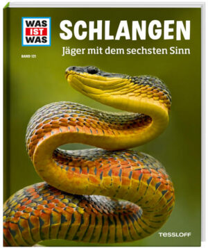 Sie haben keine Ohren und keine Arme oder Beine. Sie riechen mit der Zunge und können ihre Unterkiefer ausrenken. Schlangen sind faszinierende Tiere! Doch nicht alle Schlangen sind gleich. Die Bandbreite reicht von der harmlosen Ringelnatter über die gefähliche Königskobra bis hin zum Inland- Taipan, der giftigsten Schlange der Welt. Zu ihrer Beute kann eine winzige Termite genauso zählen wie eine Gazelle - manchmal stehen sogar andere Schlangen auf dem Speiseplan! Schlangen sind gute Jäger und jede Schlange jagt dabei auf ihre eigene Weise. Die Gabunviper vergiftet ihre Opfer und kann mit einer Geschwindigkeit von 85 Stundenkilometern zustoßen, die Anakonda dagegen würgt ihr Opfer zu Tode. Alles weit weg? Von wegen!